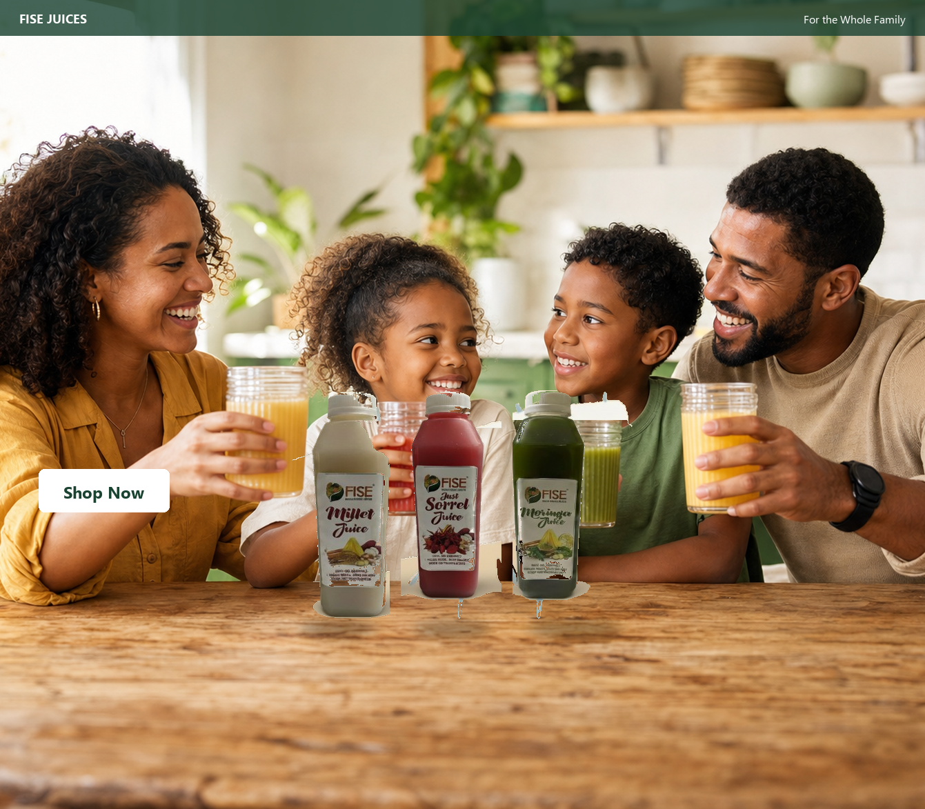 banner-family-1341x1173